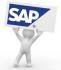 SAP SD – CO and PP Consultants – Italian Speaking