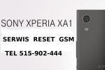 Sony Xperia XA1 XA XA1 Ultra wymiana szybki dotyku