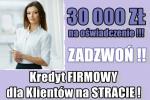 KREDYT dla FIRM bez dochodu (ze stratą)!Z brakiem zdolności kredytowej! 30 000 PLN!