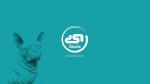 DSN STUDIO GRAFICZNE logo, www, ulotki, foldery TANIO i SZYBKO + DRUK