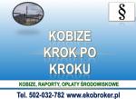 Raport Kobize , szkolenia, terminy tel. 502-032-782, szkolenie indywidualne, cena
