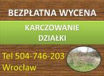 Karczowanie działki, cena, tel. 504-746-203, Wrocław. Koszenie zarośli, wysokiej trawy.