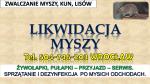 Zwalczanie myszy, Wrocław. tel. 504-746-203 Likwidacja szkodników w domu. Pułapki i odstraszacze.
