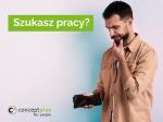 Praca dla studentów i uczniów - pakowanie ciastek – bez znajomości języka