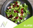 Klaver- praca w Holandii- produkcja sałatek