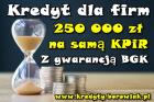 KREDYTY DLA FIRM Z GWARANCJĄ BGK – 250 000 PLN NA SAMĄ KPiR ! 0% PROWIZJI BANKOWEJ