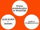 Praca na produkcji w Waalwijk 12 EUR/h