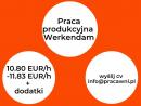 Praca na produkcji w Werkendam 10.80 EUR/h - 11.83 EUR/h + dodatki