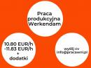 Production job in Waalwijk 11 EUR/h