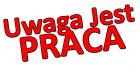 Spawacz MIG/ MAG/ TIG - praca w Niemczech lub Belgii od zaraz