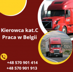 Kierowca kat. C praca w Belgii