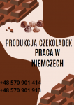 Produkcja czekoladek, Niemcy, Erfurt