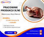 Pakowacz / Pracownik produkcji (k/m)