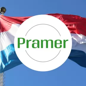 Order picker | bez języka, dojazd na rowerze